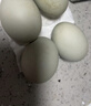 晨誠高郵咸鴨蛋 20枚 2.8 斤 流油流沙 咸香即食 下飯咸蛋 源頭直發(fā)  曬單實(shí)拍圖