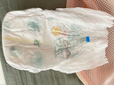 幫寶適（Pampers）清新幫拉拉褲 L大碼42片超薄干爽男女寶寶通用9-11KG建議咨詢(xún)客服 曬單實(shí)拍圖