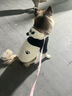 邊牧狗狗衣服熊貓中大型犬拉布拉多冬季薩摩耶服裝寵物大狗秋冬裝 可愛(ài)熊貓裝 4XL【建議體重26-40斤 參考胸圍背長(cháng)】 曬單實(shí)拍圖