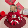 唐風(fēng)似錦寶寶新年拜年服中式國風(fēng)周歲衣服套裝嬰幼兒百日宴捉周禮服喜慶紅 磚紅色 不加絨 上衣+褲子+挎包 80 建議17-20斤 曬單實(shí)拍圖