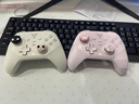 飛智沙漠狐 暮光粉 多模版無(wú)線(xiàn)游戲手柄 類(lèi)xbox霍爾扳機switch電腦PC手機steamNS 曬單實(shí)拍圖