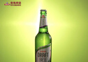 青島啤酒（TsingTao）鮮活純生啤酒原麥汁濃度8°P整箱裝 600ml*12瓶 肖戰同款年貨送禮 曬單實(shí)拍圖