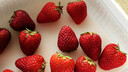 丹東99草莓【順豐】多地次日達新鮮直發(fā)東港草莓紅顏草莓水果送禮 一斤裝丹東九九草莓（凈重450g）自產(chǎn)自銷(xiāo) 精品中果20~30g（性?xún)r(jià)比高） 曬單實(shí)拍圖