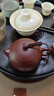 藏壺天下【政府補貼】宜興紫砂壺純手工茶壺茶具泡茶壺茄皮紫泥碧玉西施 曬單實(shí)拍圖