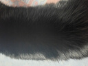 高檔進(jìn)口狐貍毛領(lǐng)大毛領(lǐng)子男女通用皮衣羽絨服大衣皮草真毛領(lǐng)單賣(mài) 黑色（標準內弧50cm） 適領(lǐng)圈46-52cm 曬單實(shí)拍圖