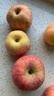 洛川蘋(píng)果（luochuanapple）25年新果正宗延安紅富士蘋(píng)果當季時(shí)令水果新鮮脆甜整箱批發(fā) 凈重8.5斤特大果85-90mm（14-16顆） 曬單實(shí)拍圖