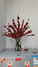 【北美冬青】精品進(jìn)口鮮切枝水培植物鮮花束紅果水養年宵花卉真花 北美冬青鮮切枝高40-45cm《5支》 曬單實(shí)拍圖
