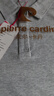 皮爾卡丹（pierre cardin）純棉翻領(lǐng)t恤女短袖2025夏季新款polo衫上衣顯瘦寬松休閑運動(dòng)服 FL-95:純棉短袖灰色 3XL 建議（141-155）斤 曬單實(shí)拍圖