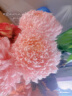 牡丹菊鮮花吸色菊花云南鮮花直發(fā)居家插花水養花束節日惦念花束 染色牡丹菊淺粉色3枝 曬單實(shí)拍圖