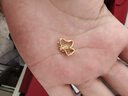 潮宏基 至簡(jiǎn)黃金吊墜女士足金小馬掛墜CNC生肖馬年本命年禮物 計價(jià) 單吊墜（不含鏈） 1.6g 曬單實(shí)拍圖
