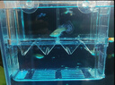 過(guò)凡（GUOFAN）魚(yú)缸隔離盒透明亞克力孵化盒孔雀魚(yú)繁殖盒迷你鸚鵡小魚(yú)苗繁殖箱子 曬單實(shí)拍圖