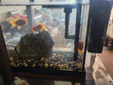 金利佳魚(yú)缸過(guò)濾器靜音加氧過(guò)濾器凈水循環(huán)三合一除油膜壁掛過(guò)濾桶 中號三層300L/H適用魚(yú)缸50cm內-送濾材-5w 曬單實(shí)拍圖