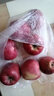 2025年現摘現發(fā)甘肅天水花牛蘋(píng)果新鮮紅蛇果粉面生鮮脆甜多汁A13 帶箱2斤  果徑65-70mm 曬單實(shí)拍圖