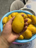 南步海南小臺農芒果 現摘需催熟臺農芒甜心小芒果雞蛋芒新鮮熱帶水果 3斤 中果【單果70g+】需催熟 曬單實(shí)拍圖