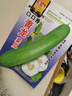 青龍菜瓜種子脆瓜梢瓜種籽甜脆汁多味清香生食涼拌腌制水果種孑 青龍菜瓜種子/包約100粒 1包 曬單實(shí)拍圖
