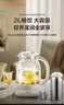 蘇泊爾（SUPOR）養生壺 煮茶器 燒水壺 大容量花茶壺恒溫水壺燒水壺電熱水壺 辦公室保溫煮茶壺 2L SW-20YQ65 曬單實(shí)拍圖