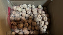 知嘗新貨陜西秦嶺山生山核桃老品種油香核桃老樹(shù)薄皮孕婦核桃原味清香 野生山核桃【5斤】精選大果帶夾子 曬單實(shí)拍圖
