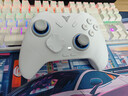 飛智冰原狼3/冰原狼4多模版無(wú)線(xiàn)手柄DW12C類(lèi)xbox手柄Switch/Steam黑神話(huà)悟空游戲手柄明末淵虛之羽手柄 【爆款新品】冰原狼4多模板 曬單實(shí)拍圖