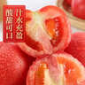 京鮮生 攀枝花沙瓤西紅柿凈重4.5斤禮盒單果150g起酸甜多汁源頭直發(fā)包郵 曬單實(shí)拍圖