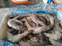 百鮮薈王牌大蝦凈重3斤 厄瓜多爾原裝進(jìn)口南美白蝦生鮮鮮活冷凍海蝦 40/50原箱王牌大蝦【凈重3斤】 曬單實(shí)拍圖