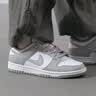 耐克官方男鞋 Nike2025秋冬新款DUNK LOW 潮流時尚運動鞋子休閑鞋板鞋 HF5441-105 41 曬單實拍圖
