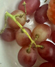 京覓四川無(wú)籽克倫生紅提葡萄馬奶新鮮水果水果無(wú)籽紅提1.5斤 源頭直發(fā) 曬單實(shí)拍圖