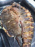 愛優(yōu)達烤魚爐商用智能無煙電烤不銹鋼燃氣烤魚箱飯店餐廳專用烤魚機廠家 3魚煤氣-帶支架 曬單實拍圖