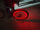 燈飾照明自行車(chē)車(chē)身照明燈車(chē)架裝飾燈七彩燈夜騎山地車(chē)氛圍燈飾 炫彩輪胎燈-紅色-2個(gè) 曬單實(shí)拍圖