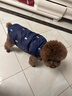湯尼熊 TAWNEYBEAR狗狗羽絨服寵物衣服冬保暖雪納瑞比熊貓咪無(wú)袖貓咪泰迪馬甲外套 羽絨馬甲【刺繡小熊-藏青】 M丨背長(cháng)29胸圍44建議5-8斤 曬單實(shí)拍圖
