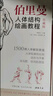 珍藏版【送描摹本】伯里曼人體結構教學(xué) 人物速寫(xiě)入門(mén)基礎繪畫(huà)臨摹書(shū)籍透視技法自學(xué)頭像美術(shù)藝術(shù)手 曬單實(shí)拍圖