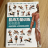 【3冊】肌肉力量訓練圖譜+拉伸訓練彩色圖譜+無(wú)器械力量訓練彩色圖譜 運動(dòng)健身健美訓練書(shū)籍  新華書(shū)店正版包郵 【3冊】拉伸訓練+肌肉力量訓練+無(wú)器械力量訓練 曬單實(shí)拍圖