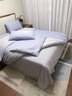 輕奢高級感磨毛四件套純棉全棉春秋簡(jiǎn)約純色床單床笠被套床上用品 藍莓紫+中灰【禮盒+順豐包郵】 1.8m 床單款 四件套-被套200*230cm 曬單實(shí)拍圖
