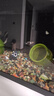 森森金麟超白玻璃魚(yú)缸一體缸自循環(huán)客廳小型家用水族箱LE-480B 曬單實(shí)拍圖