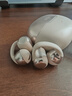 韶音（SHOKZ）OpenDots ONE動(dòng)鈦圈開(kāi)放式藍牙耳機耳夾式無(wú)線(xiàn)耳機藍牙跑步運動(dòng)耳機E310 星際白 曬單實(shí)拍圖