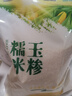 黃羊河甘肅武威大顆粒米飯伴侶小顆粒糯玉米糝苞谷珍子蒸米飯熬粥玉米渣 【小顆?！颗从衩准R450g*5袋 曬單實(shí)拍圖