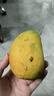 南步海南小臺農芒果 當季小臺芒雞蛋芒非金煌甜心芒新鮮熱帶特產(chǎn)水果 凈重4.5斤 中果【單果80g+】需催熟 曬單實(shí)拍圖