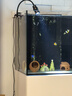 燕之雁 南美缸射燈 循環(huán)定時(shí) 三色變光 可調焦  魚(yú)缸雨林缸照明水草燈9w 曬單實(shí)拍圖