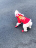 阿莫爾狗狗衣服寵物秋冬新年喜慶醒獅保暖加厚泰迪博美比熊中小型犬衣服 新年唐裝-非遺舞獅【親膚保暖】 S【建議3-4斤 具體參考胸圍背長(cháng)】 曬單實(shí)拍圖