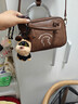 卓詩(shī)尼潦草小狗聯(lián)名包包2026新年本命年禮物手提包女復古斜挎包 深棕色 曬單實(shí)拍圖