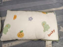 紅豆家紡兒童棉花枕小枕頭6歲以下純棉枕芯A類(lèi)寶寶枕睡眠全棉1到3歲可拆洗 恐龍樂(lè )園兒童枕 【單只裝】 30*50cm 曬單實(shí)拍圖