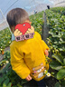 兒童罩衣防水防臟季外穿寶寶圍裙嬰兒吃飯兜長(cháng)袖反穿護衣圍兜秋冬 萌貝黃 16碼(建議2-3歲) 曬單實(shí)拍圖
