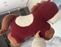 蝸牛卷2026馬年吉祥物玩偶毛絨玩具抱枕沙發(fā)靠墊可愛(ài)小紅馬公仔新年禮物 國風(fēng)元寶小馬抱枕lw 55*40厘米 曬單實(shí)拍圖