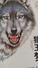狼王夢(mèng)沈石溪正版全套5冊完整版 動(dòng)物小說(shuō)大王品藏書(shū)系全集畫(huà)本 9-10-12歲青少年版小學(xué)生四五六年級課外閱讀必讀書(shū)籍寒暑假經(jīng)典書(shū)單 京東童書(shū)自營(yíng)兒童文學(xué)讀物 曬單實(shí)拍圖