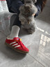 阿迪達斯（adidas）（adidas）三葉草男女鞋GAZELLE INDOOR低幫休閑鞋IF1808紅白38 曬單實(shí)拍圖