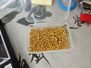 洲足金999金珠黃金小金珠金豆古法金珠DIY配件散珠隔珠路路通轉運珠 3mm金珠  合單滿(mǎn) 0.16g 包郵 單顆約0.02g 曬單實(shí)拍圖