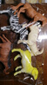 兒童動(dòng)物仿真模型玩具男孩迷你玩偶小動(dòng)物園世界套裝女孩1歲2寶寶 大號10只動(dòng)物 曬單實(shí)拍圖