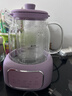 大宇（DAEWOO）全玻璃壺體養生壺恒溫壺 辦公室多功能煮茶壺花茶壺 0金屬養生杯24h預約保溫 YS14A紫色配茶漏 曬單實(shí)拍圖