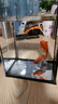 金晶超白玻璃桌面魚(yú)缸小型家用辦公室生態(tài)懶人全套造景小缸水草缸 裸缸+防滑墊 15*15*20 曬單實(shí)拍圖