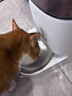霍曼（Homerun）Real智能自動(dòng)喂食器貓糧定時(shí)貓貓咪自動(dòng)投食機（不銹鋼碗） 曬單實(shí)拍圖
