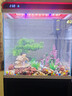 福路康超白玻璃免換水生態(tài)魚(yú)缸客廳小型水族箱落地金魚(yú)缸造景一體柜家用 白色400魚(yú)缸+柜子(智能超白) 曬單實(shí)拍圖